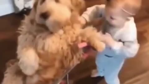 Cute baby and cute dog cute moment😂