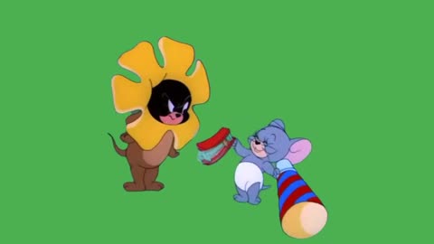 Tom and jerry green screen no copyright watch