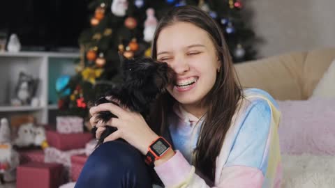 A cute Yorkshire terrier puppy licks a happy teenage girl in a room