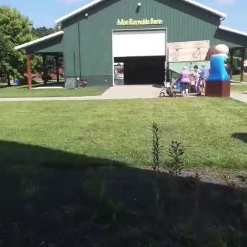 Flashback to pollinator garden!