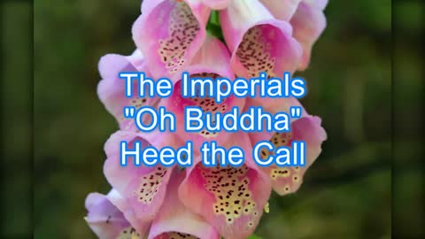 The Imperials - Oh Buddha #443