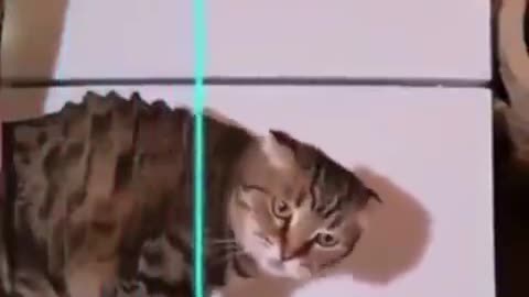 Jurassic Cat 🐱