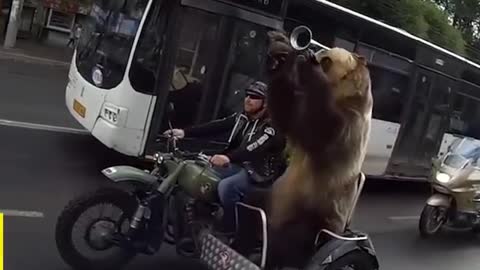 Just a Normal Day In Russia