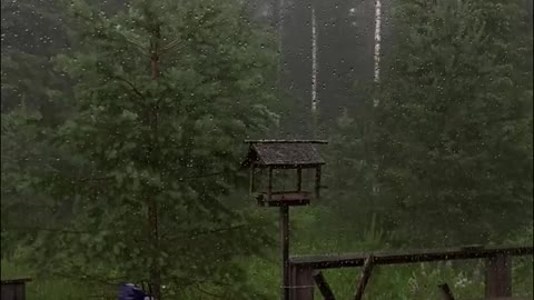 relaxing rain