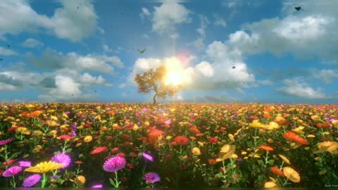 Relaxing Music | Sleeping, Meditation, Stress Relief | [6298] ⭐️