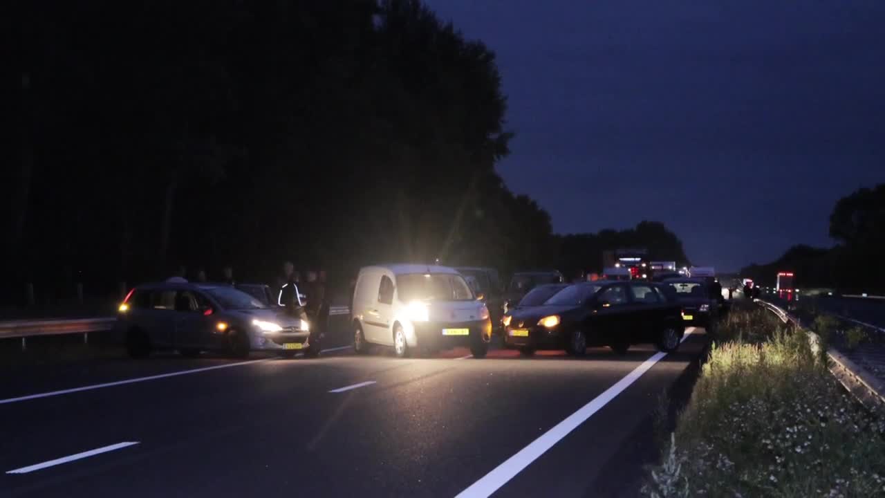 farmer protest Netherlands