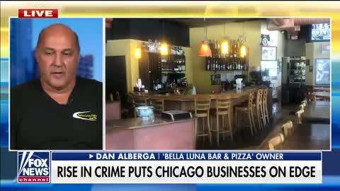 Rise in crime puts Chicago businesses on edge