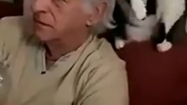 CATS SCRATCHES OWNERS HEAD