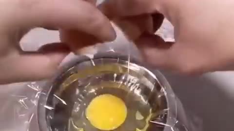 How A Chick Born From A Egg Interesting Video