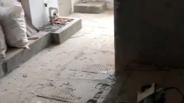 house designer
