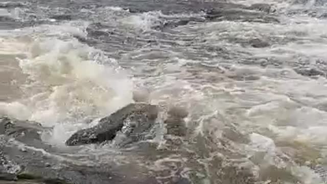 Russian fishing, riding on the rapids😮