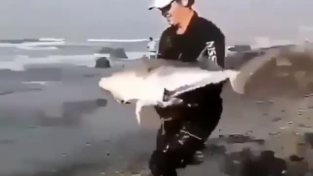 Man dropping fish in the sea