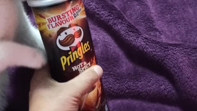 A cat loves Pringles 😁😁