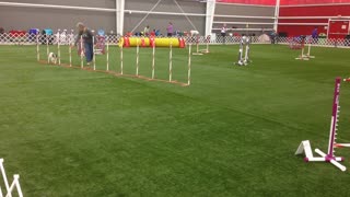 Tanner - Master Standard - Q for 19th QQ