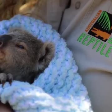 Look at the beautiful face