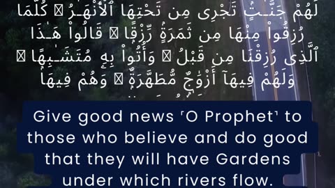 Surah Al-Baqarah - part 7 #islamicshorts #guidance #prophetmuhammad