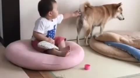 little boy with dog funny video