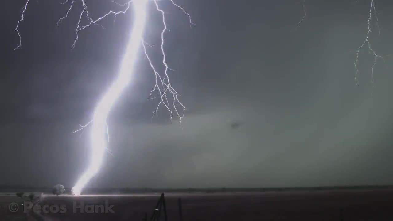 Lightning Striking Tree in 4K - Tree Catches on Fire !!!
