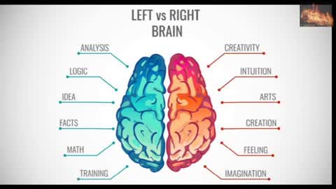 Left vs Right side of the brain