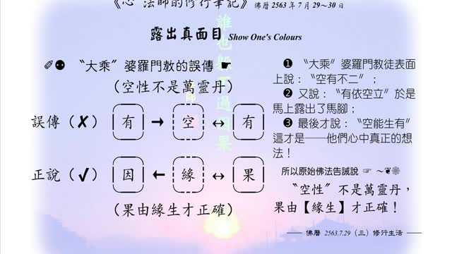 371【〝大乘〞婆羅門教的誤傳】630729