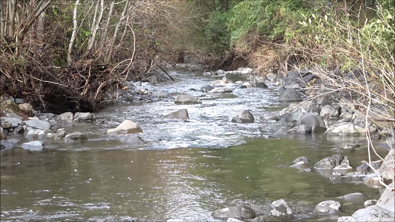 Grey River flows down the mount Grey, New Zealand