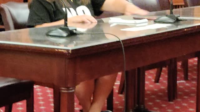 Bonnie Testifying in front of NY City Council