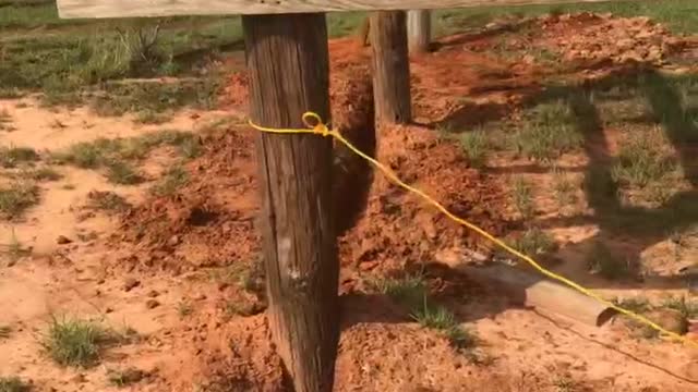 Building a chicken house