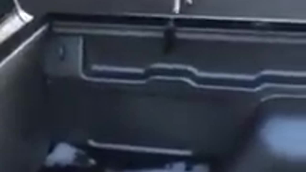 funny | funny video | funny videos 2023 | funny videos for kids | funny video clips