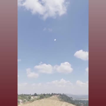 Funny Animal Videos 😂😂😂