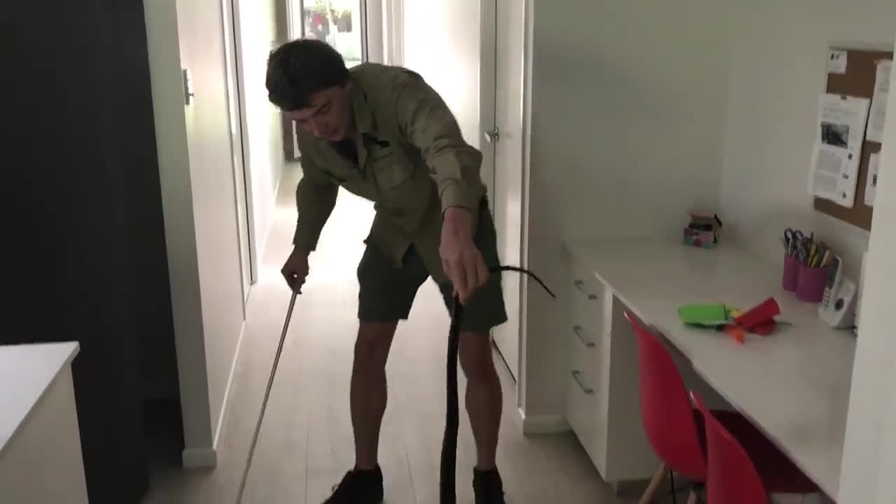 Red Bellied Black Snake Cools Off Under Fridge!