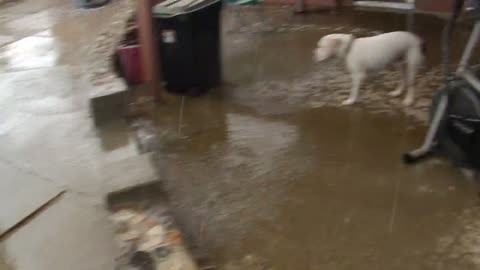 FREAK Hail Storm Pounds California Desert