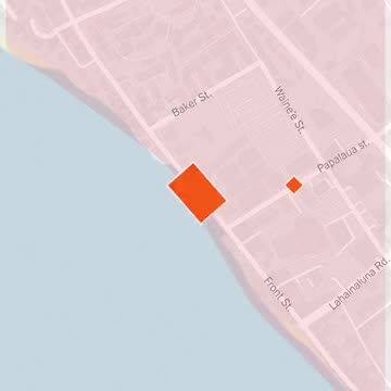 PUBBLICAZIONI DEGLI ABITANTI DI MAUI (HAWAII) SULL'INCENDIO