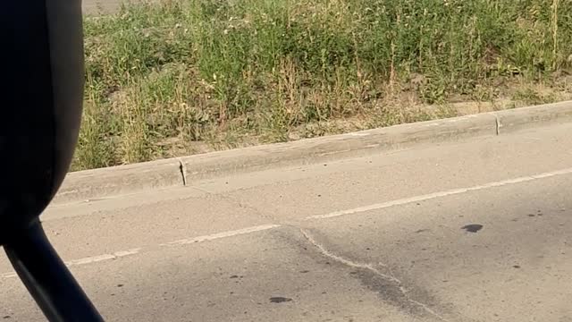 Men at work to feed their families.