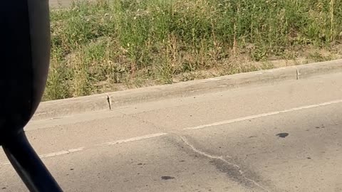 Men at work to feed their families.