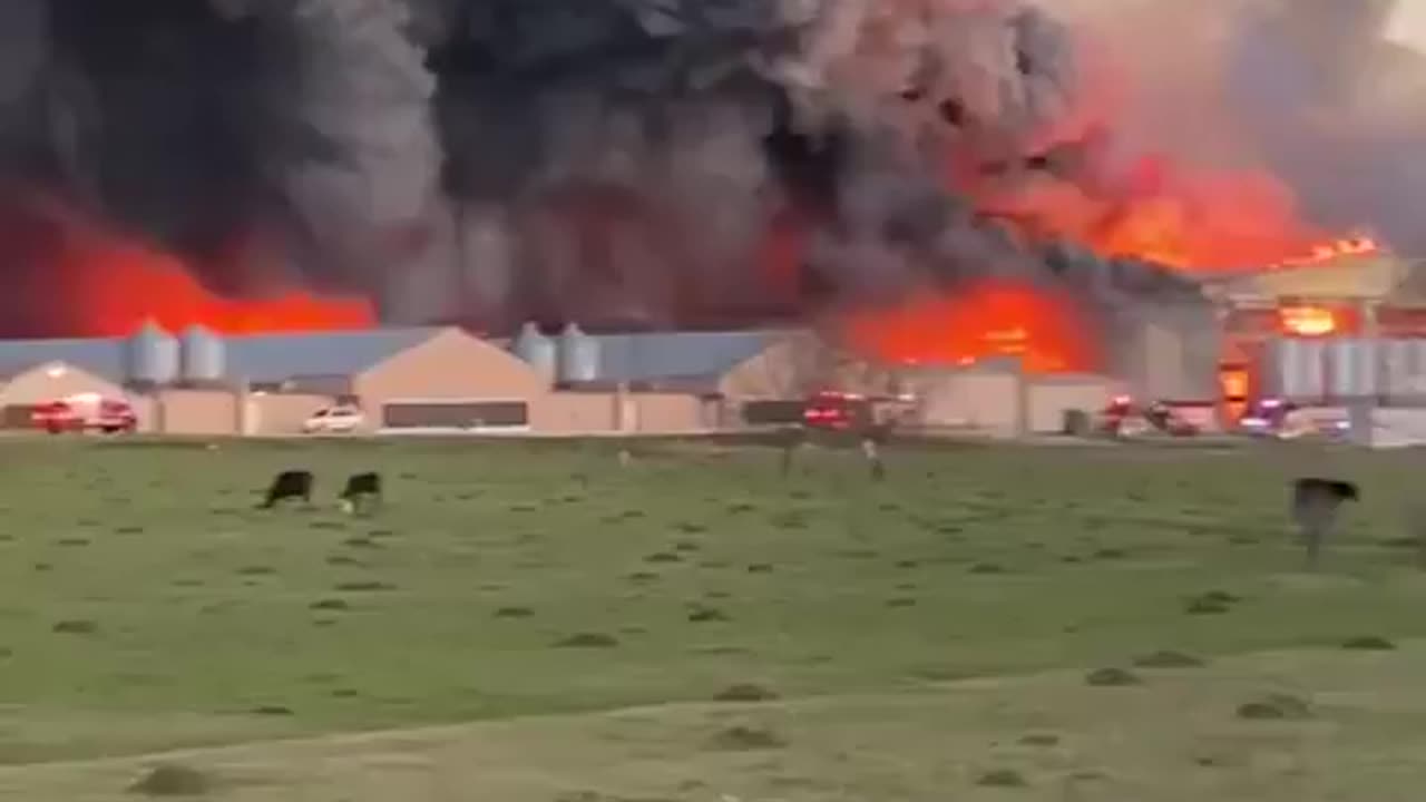 Multiple fire departments are currently battling a massive fire at a poultry farm Brazos County.