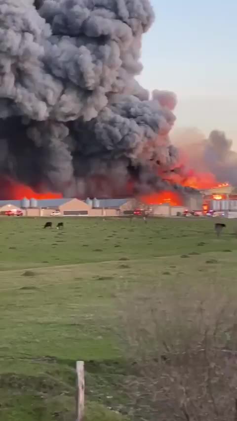 Multiple fire departments are currently battling a massive fire at a poultry farm Brazos County.