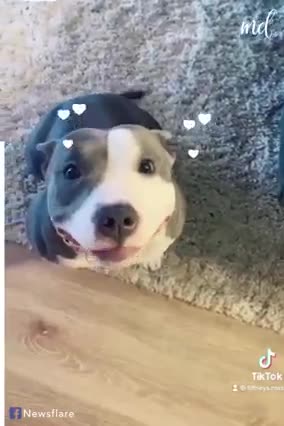 i love you so much dear