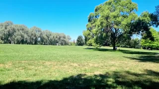 Mini Live Du 11 Juillet