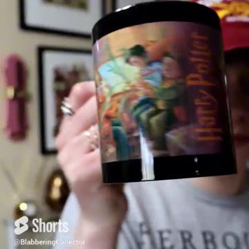I Am a Potter-Holic #wizardingworld #harrypotter #harrypottercollector #mugs