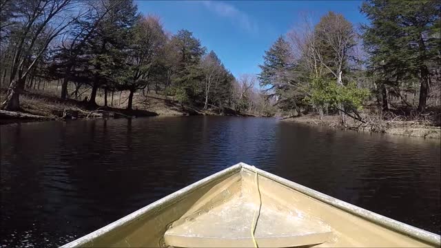 Virtual Boat River Run