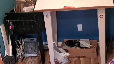 So... that didn't work.