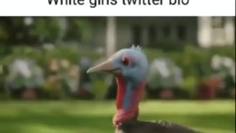 White Girls Twitter Bio
