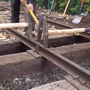 funny|prank|jokes|funny jokes|dad jokes|funny memes|funny video|fun|laughing|funny animal|knock