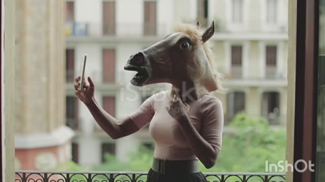 When taking a horse selfe 👌