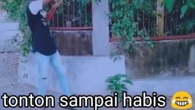 stealing neighbor's mango