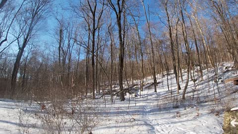 AT Trail Jan 25, 2022 Wiley shelter