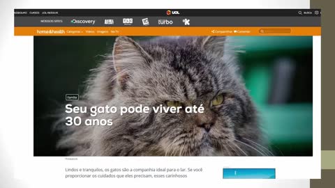 How old does a cat live? Watch and see what a cat's life expectancy is.