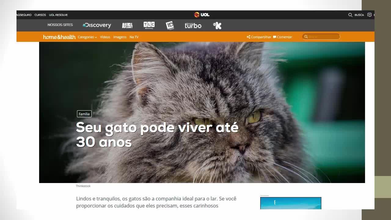 How old does a cat live? Watch and see what a cat's life expectancy is.