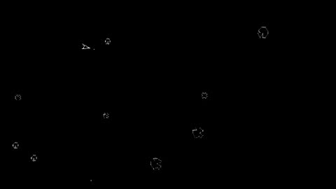 ASTEROIDS [Atari, 1979]