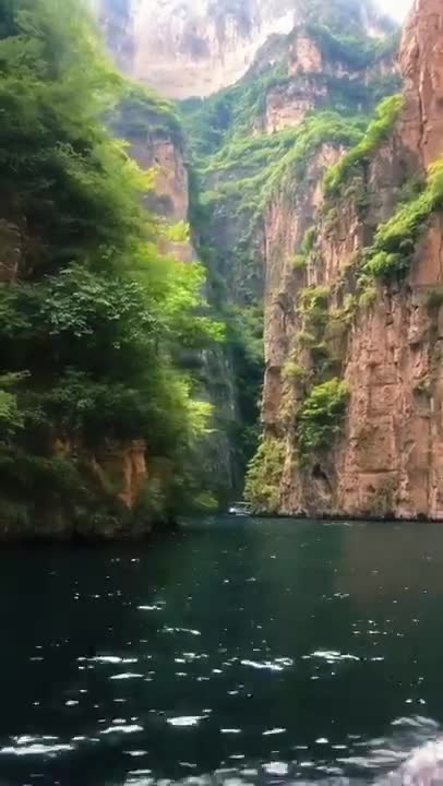 Wonderful nature Amazon forest🥰🥦👌💥